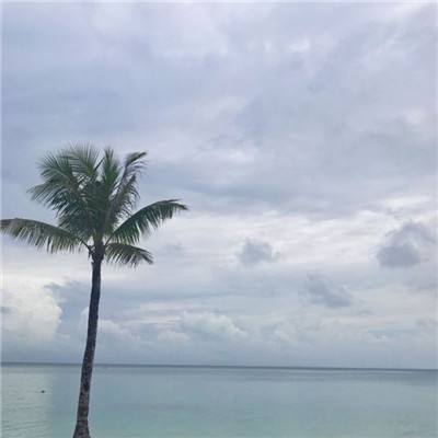 战机也疯狂无敌版