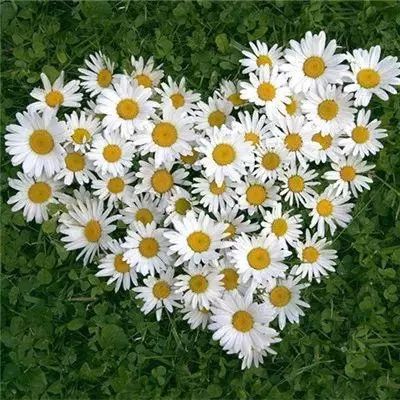 2012欧洲杯点球赛